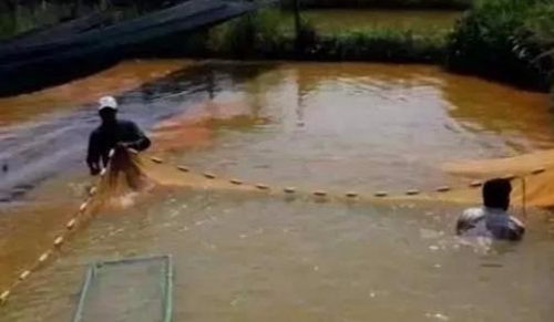 水渾了？不用怕，這五個方面讓水質(zhì)恢復(fù)清新