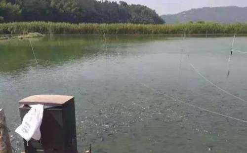 水渾了？不用怕，這五個方面讓水質(zhì)恢復(fù)清新