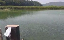  水產(chǎn)養(yǎng)殖水質(zhì)檢測標準，這五個方面讓水質(zhì)恢復清新